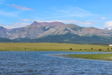water frontage for sale montana east glacier meadows ranch