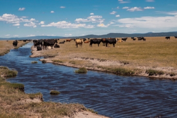 water frontage for sale oregon bar y ranch