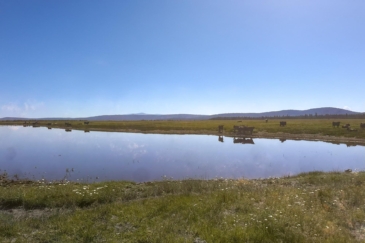 waterfowl hunting land for sale oregon bar y ranch