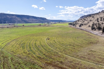agricultural production land for sale oregon king ranch on the crooked river