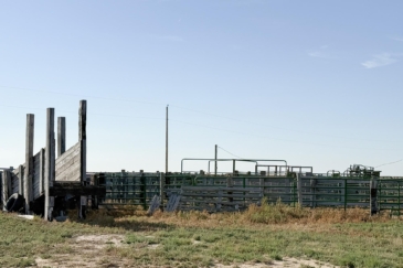 agricultural production property for sale colorado moreland home place