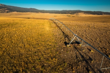 agricultural production property for sale montana curly gulch ranch