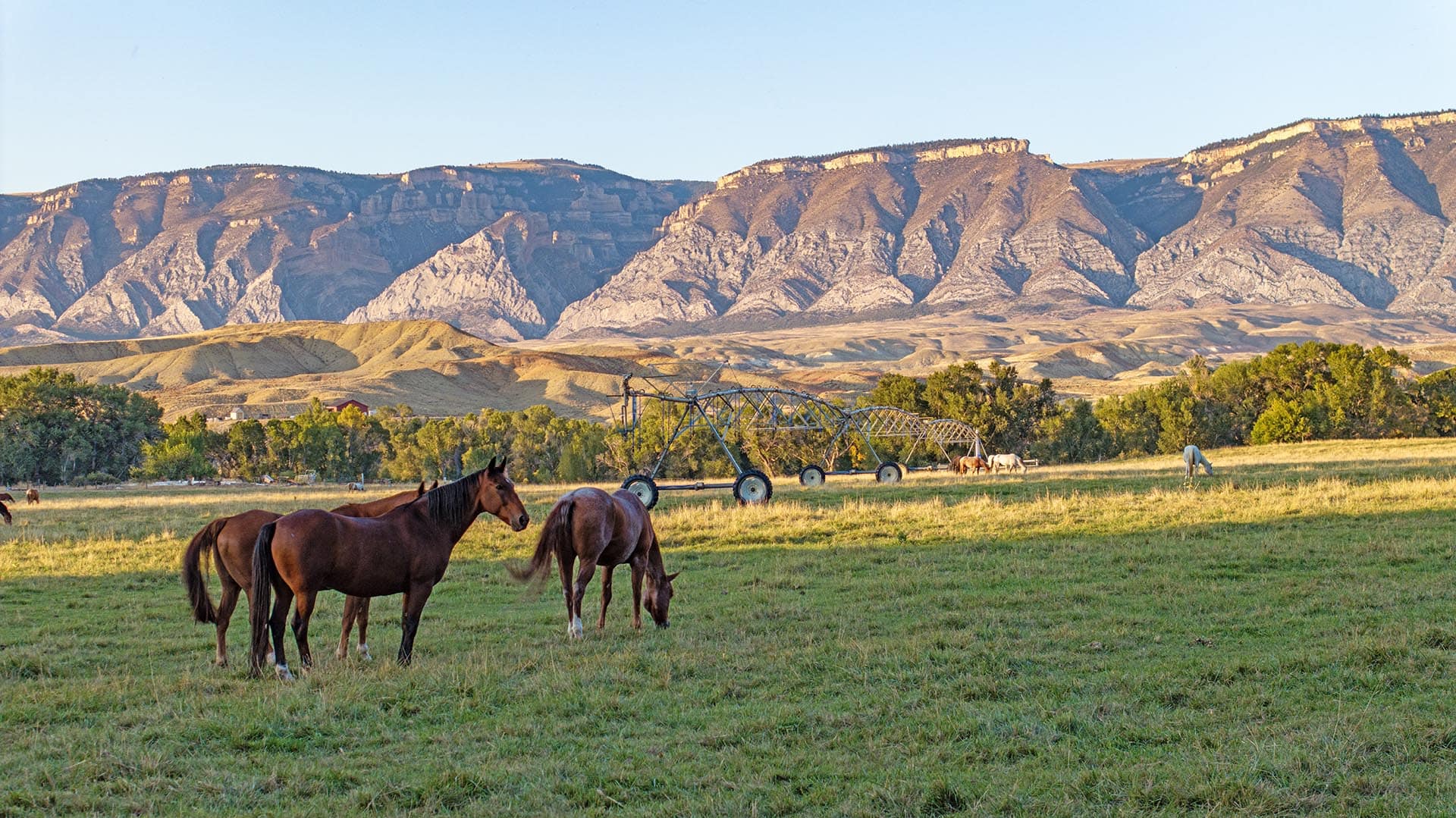 best wyoming ranch brokerage big horn mountains guest ranch wyoming