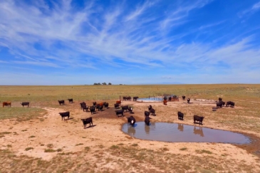 cattle property for sale colorado sandhills ranch