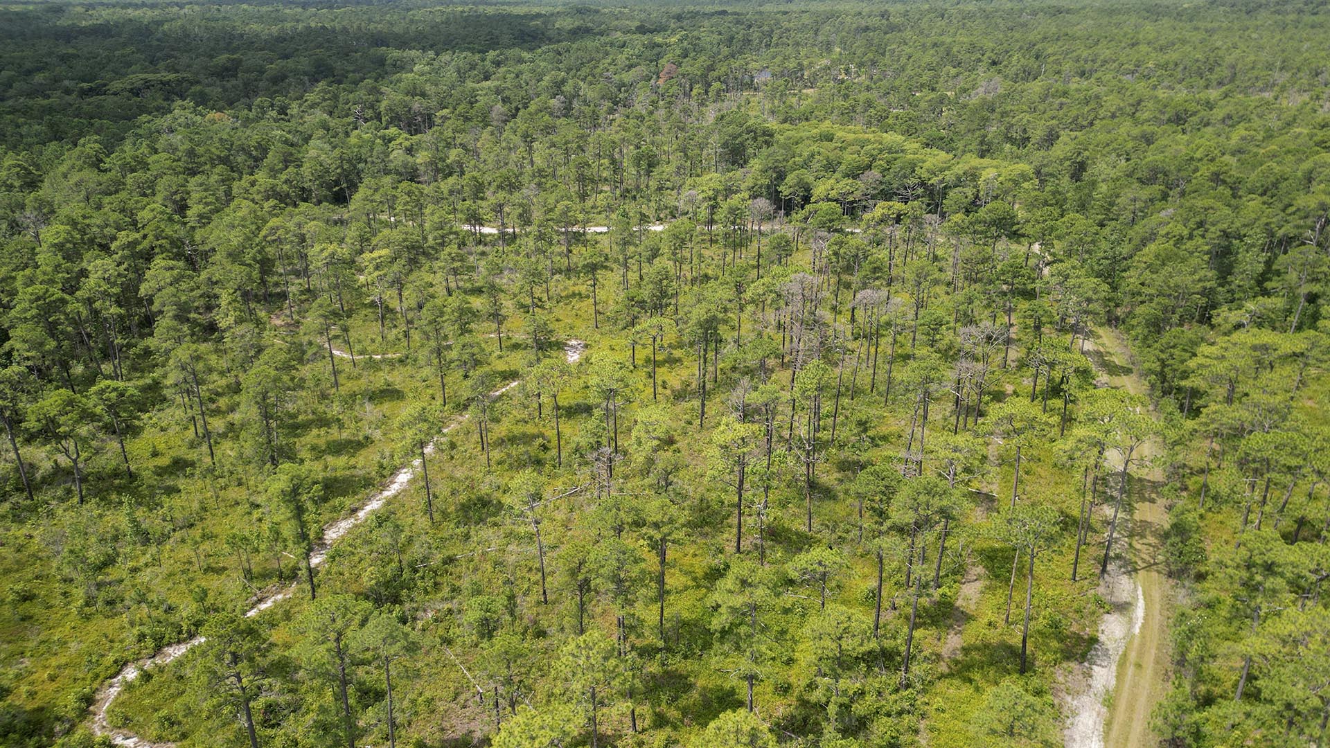 coastal hunting land for sale south carolina pawleys point