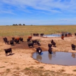 colorado ranches for sale sandhills ranch