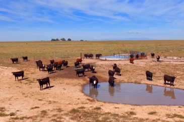 colorado ranches for sale sandhills ranch