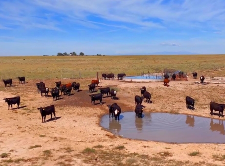 colorado ranches for sale sandhills ranch