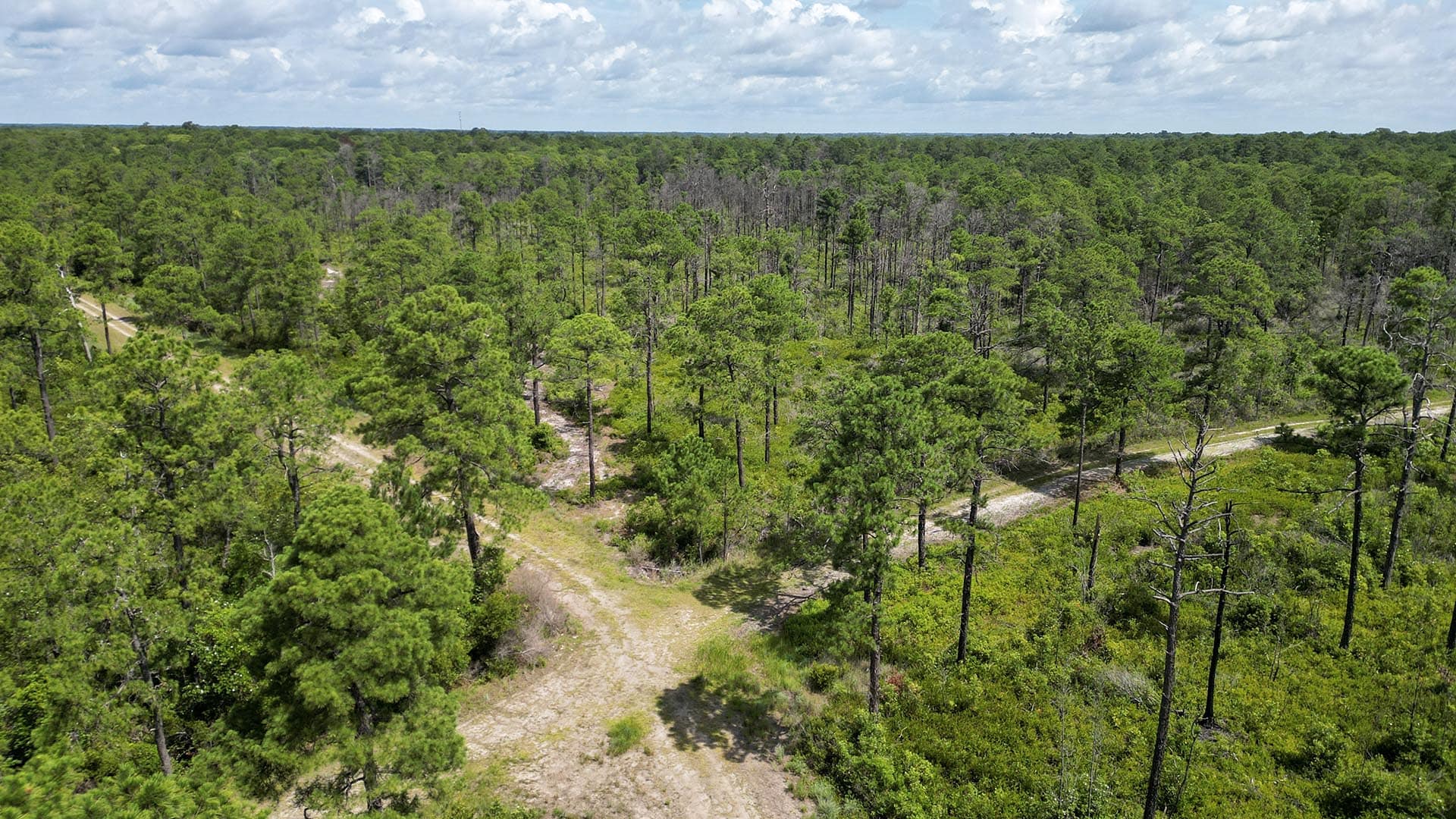 conservation property for sale south carolina pawleys point