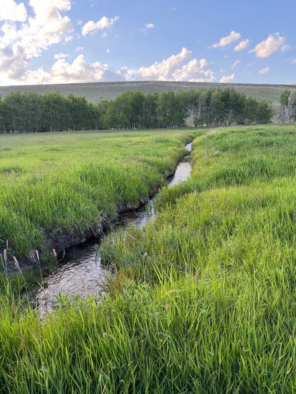 creek flowing through montana stillwater and westfork rivers ranch