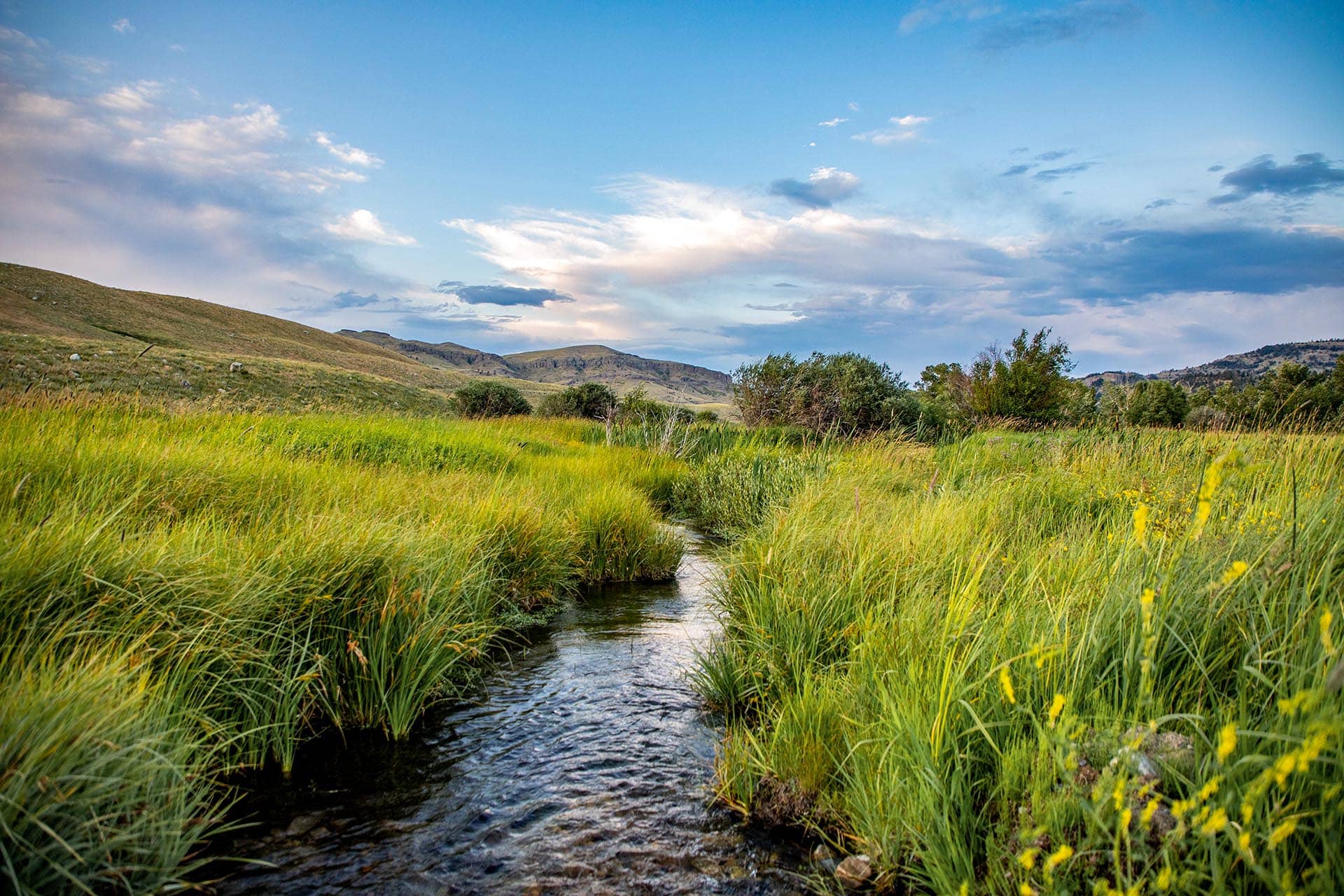 creek slough montana Stillwater and Westfork River's Ranch