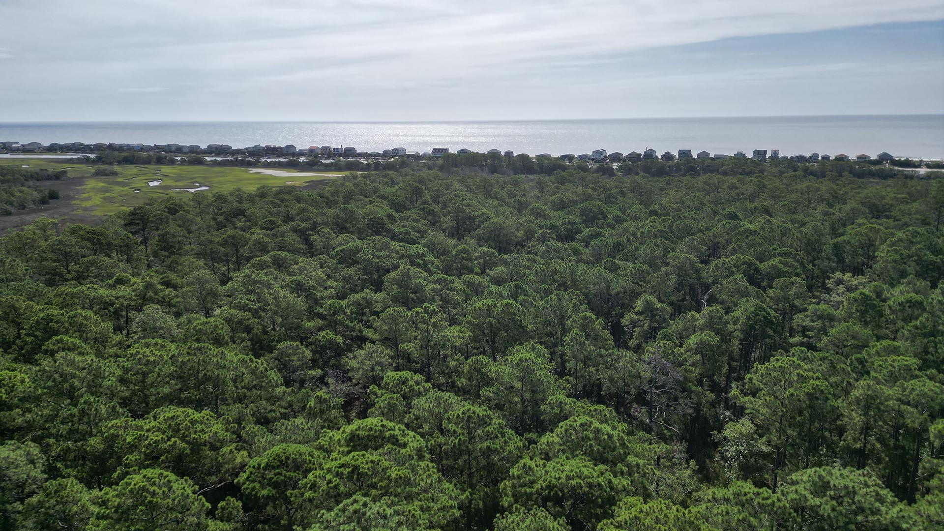 creekfront property for sale south carolina pawleys point