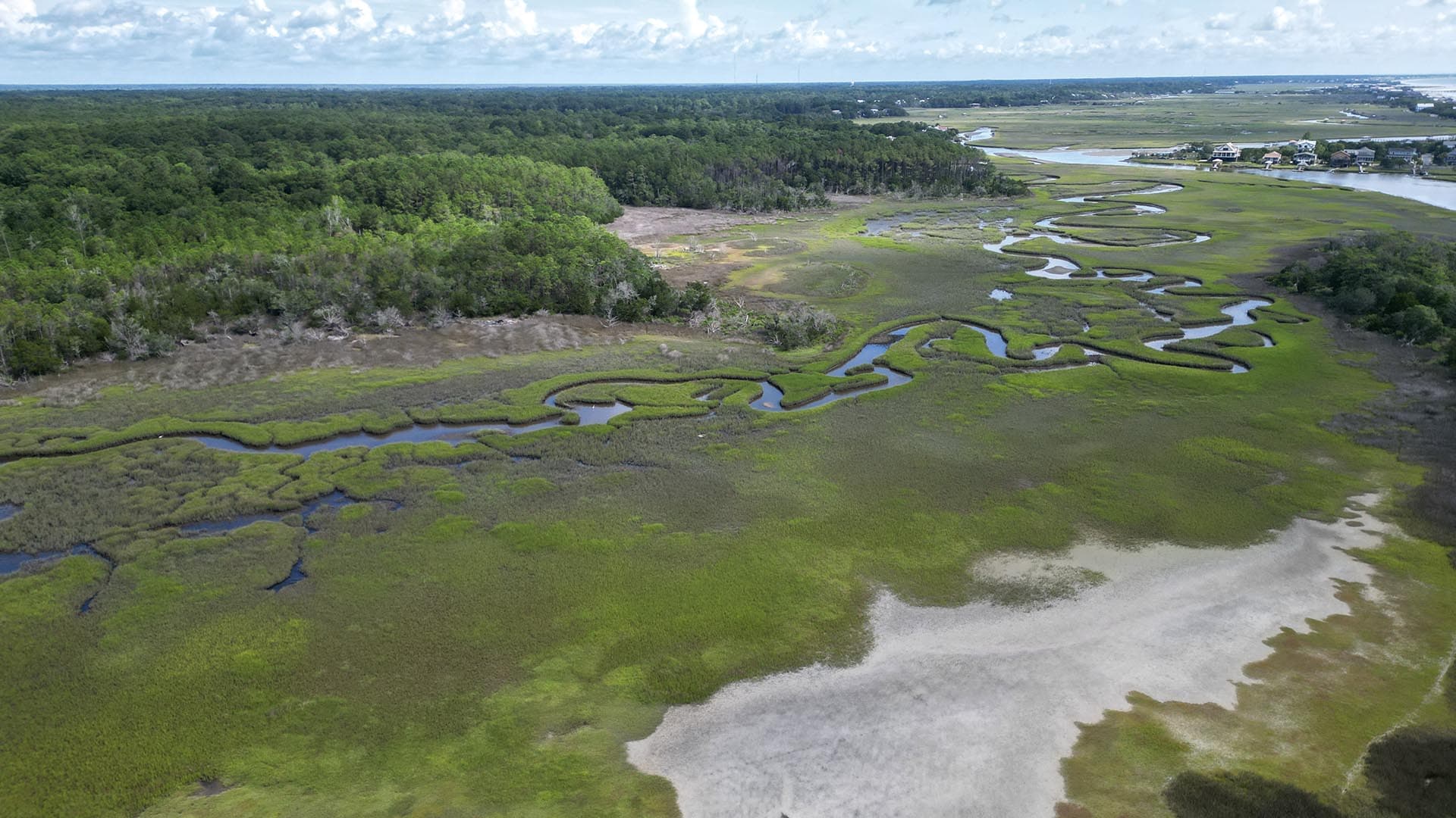 duck impoundment land south carolina pawleys point