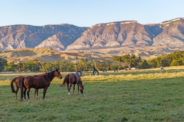 equestrian guest ranch for sale wyoming