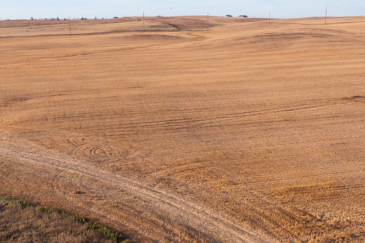 North Dakota farmland for sale alex township farmland