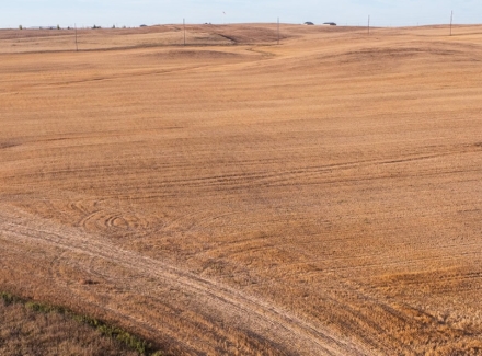 North Dakota farmland for sale alex township farmland