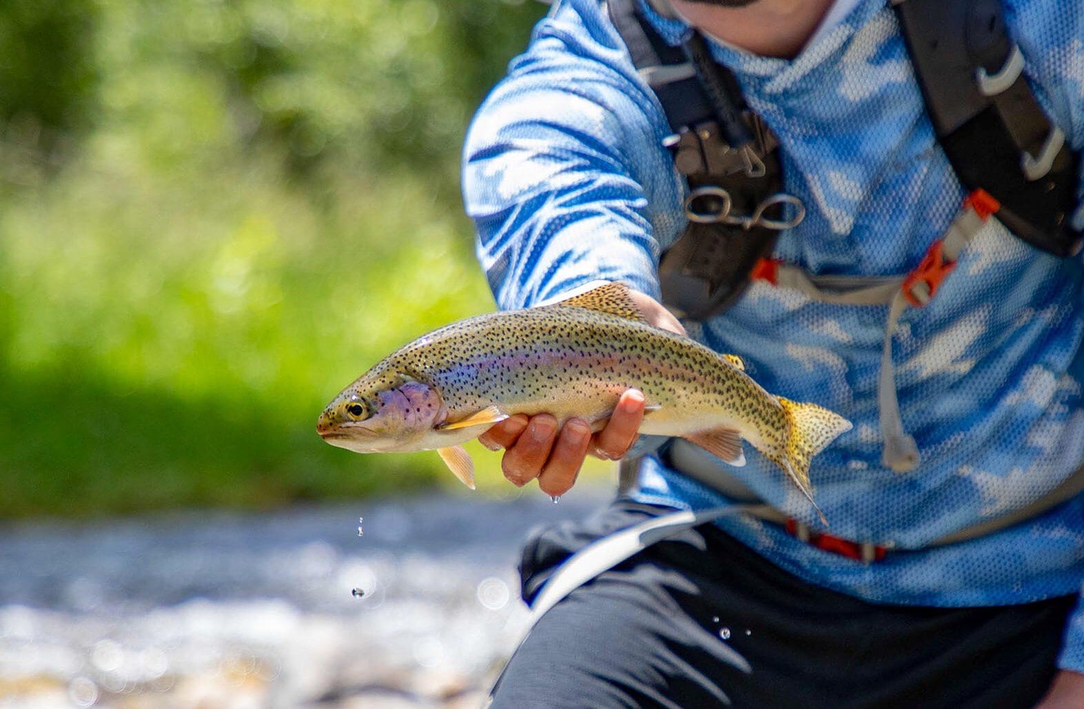 fish montana Stillwater and Westfork River's Ranch