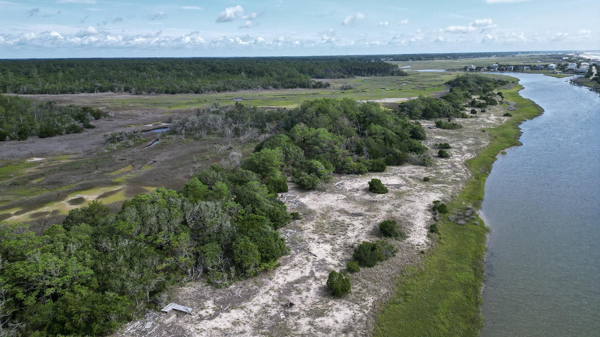 longleaf pine forest land south carolina pawleys point