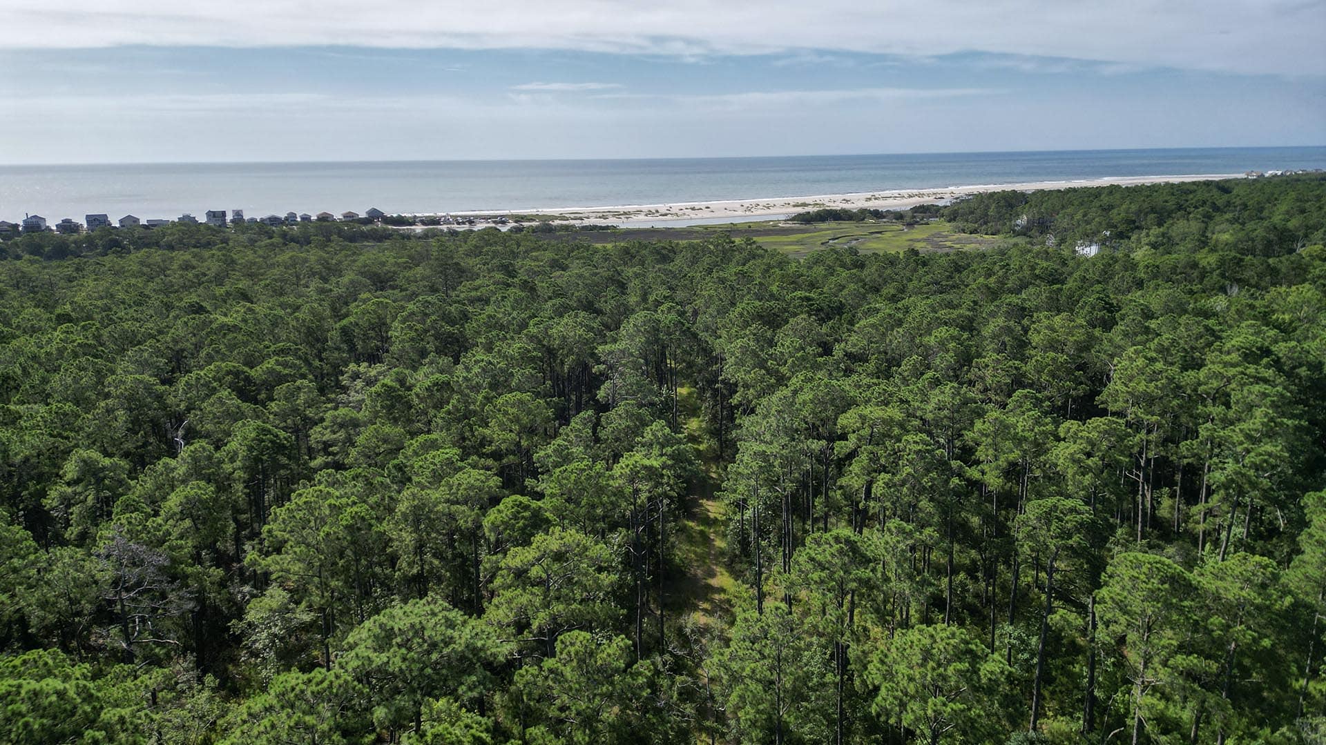 luxury coastal estate land south carolina pawleys point