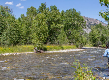 montana ranch property for sale Stillwater and Westfork River's Ranch