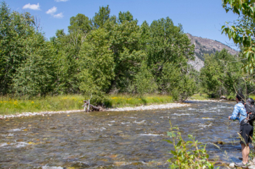 montana ranch property for sale ekwortzel legacy ranch 1896