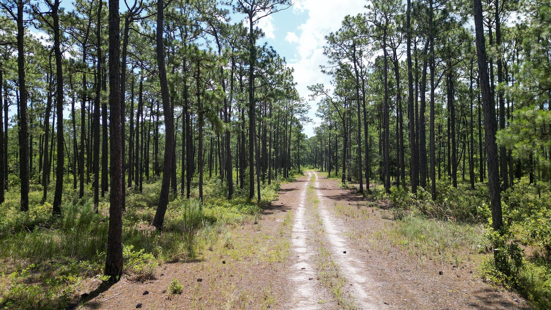 private coastal retreat south carolina pawleys point