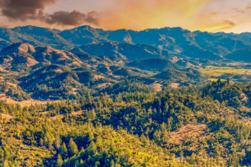 property for sale sonoma county california murray hill ranch-2