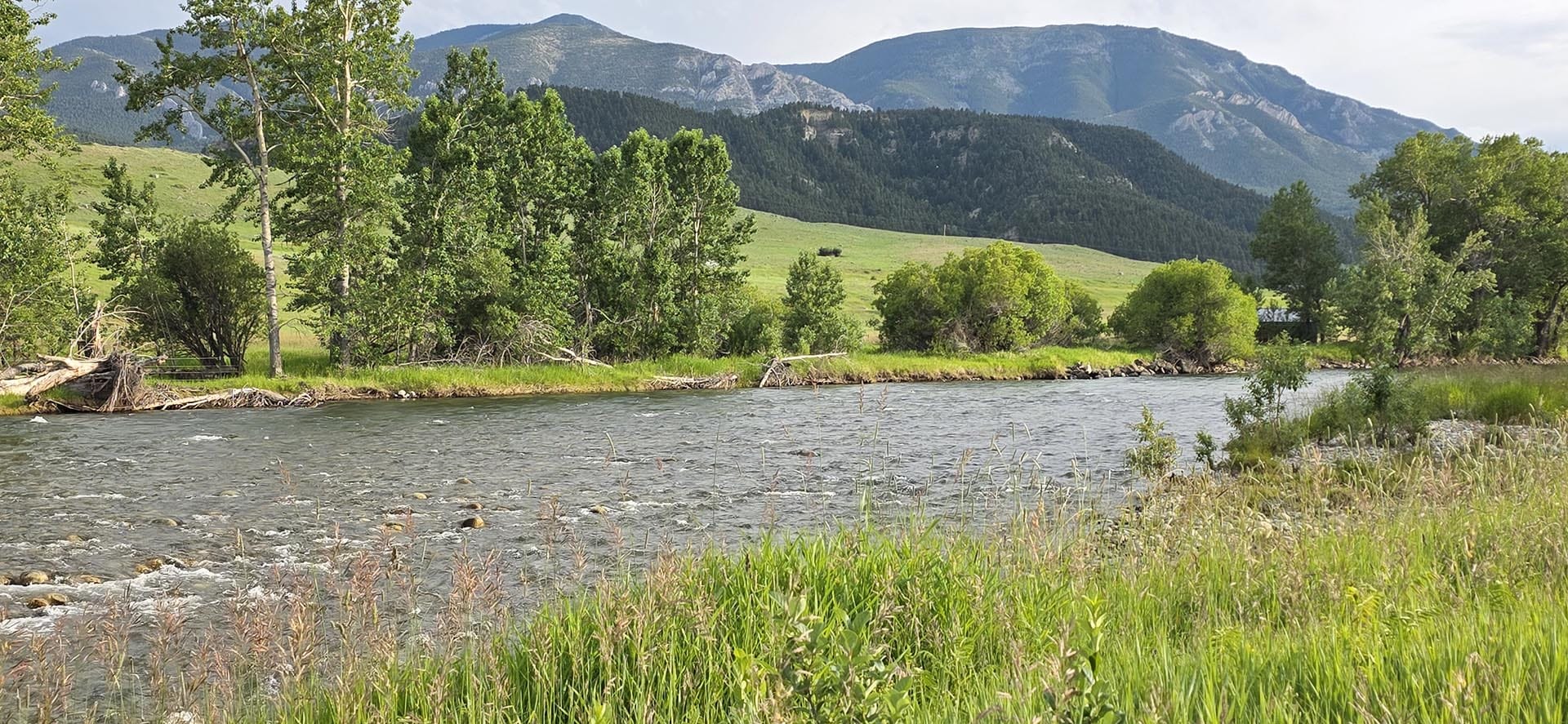 River scene with grassy banks, trees along the shore, and mountains in the distance under a blue sky.