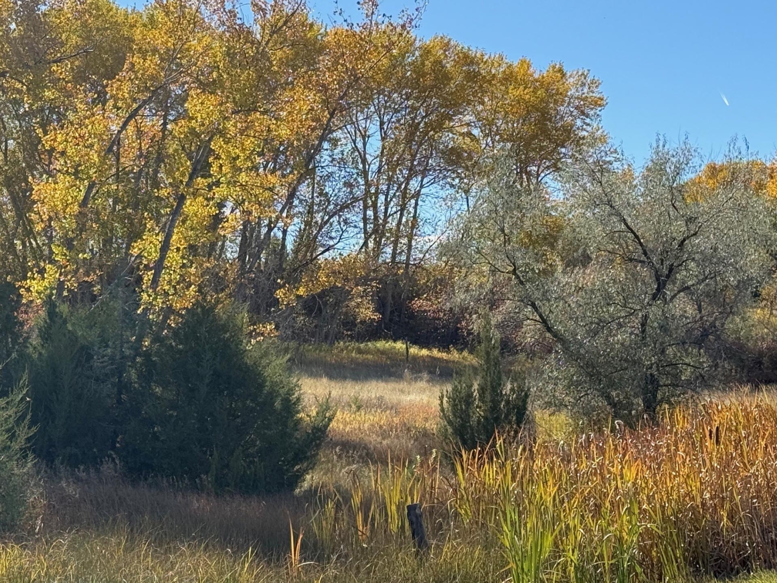 Clarks Fork River Ranch | Edgar Montana | Fay Ranches