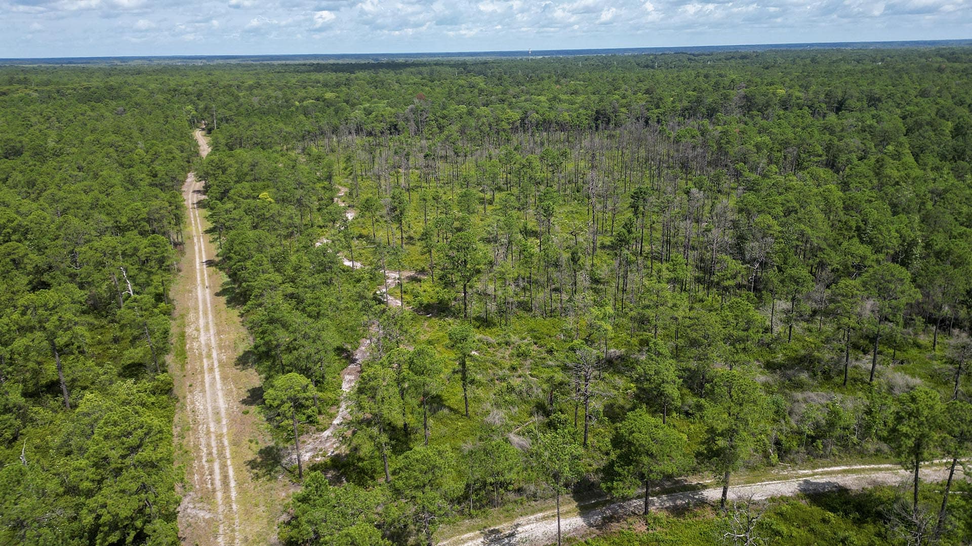 secluded waterfront land south carolina pawleys point