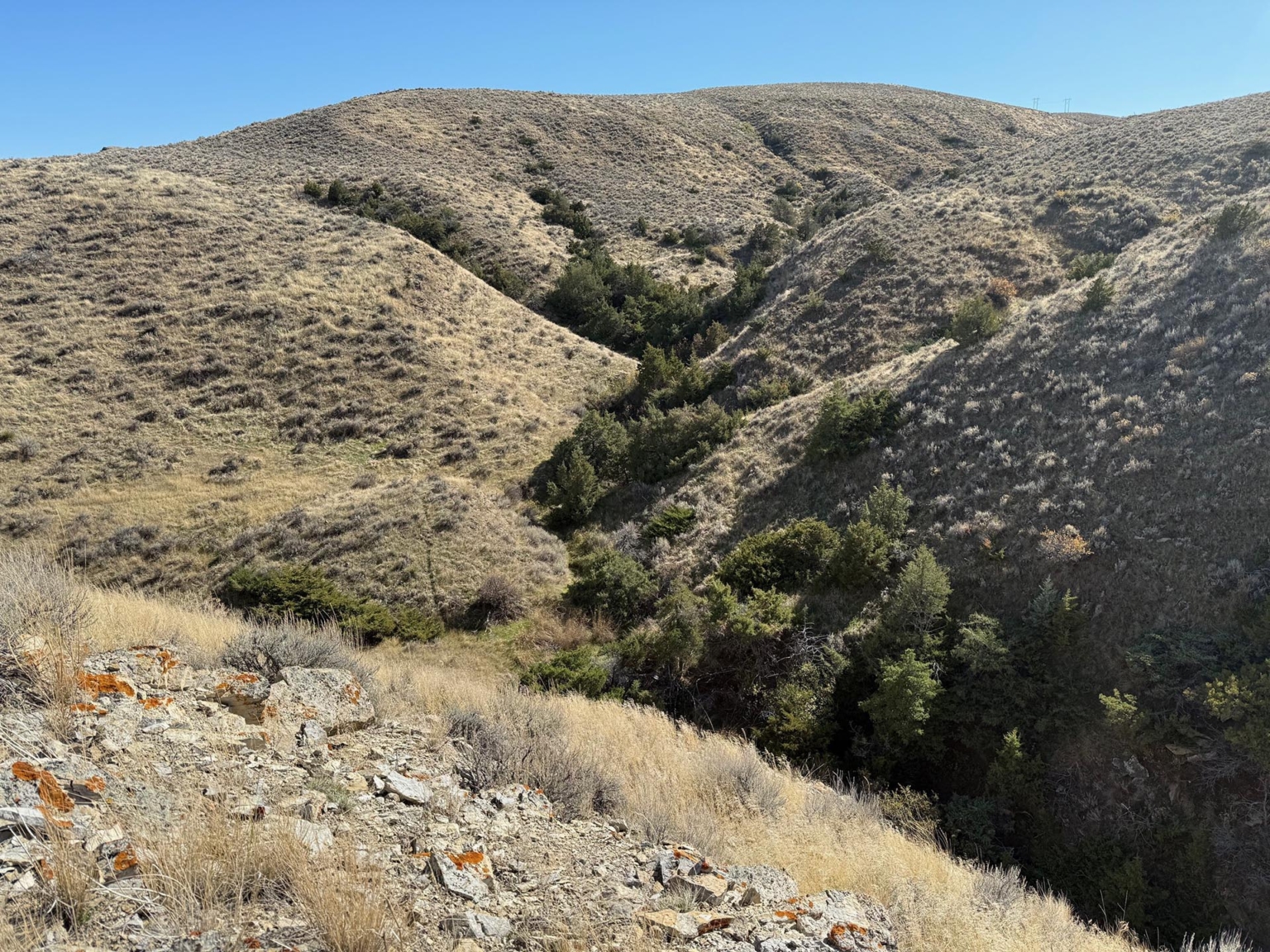 Clarks Fork River Ranch | Edgar Montana | Fay Ranches