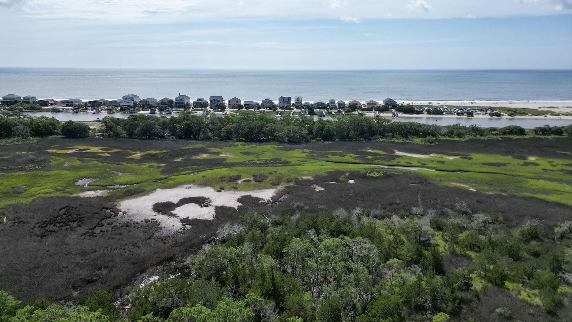 turkey hunting property south carolina pawleys point