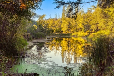 water frontage for sale california murray hill ranch