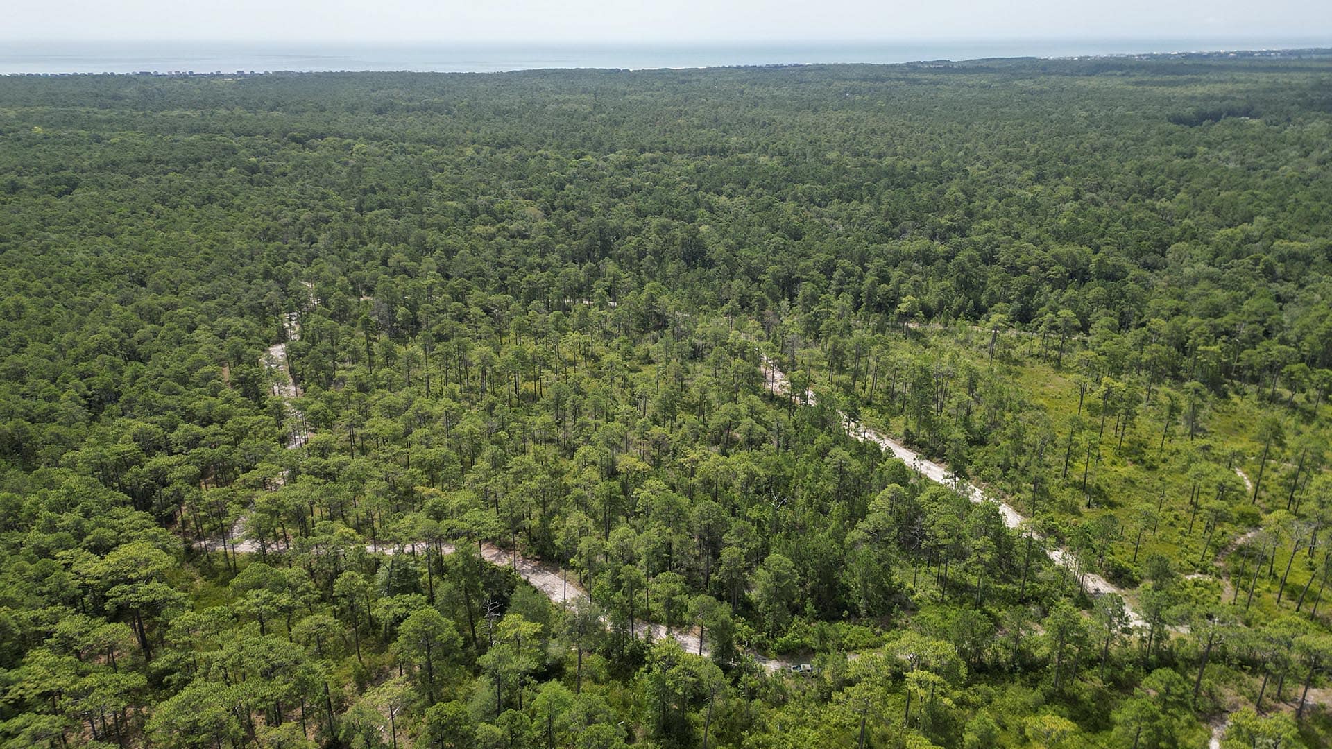 waterfront property for sale south carolina pawleys point