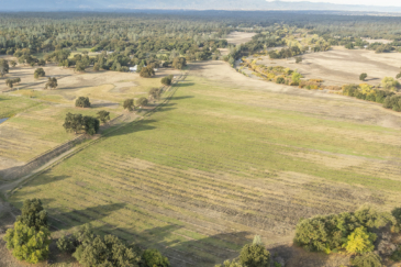 California home for sale with irrigated land california bowman place