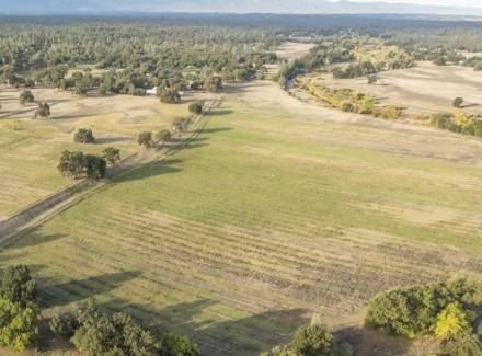 California home for sale with irrigated land california bowman place