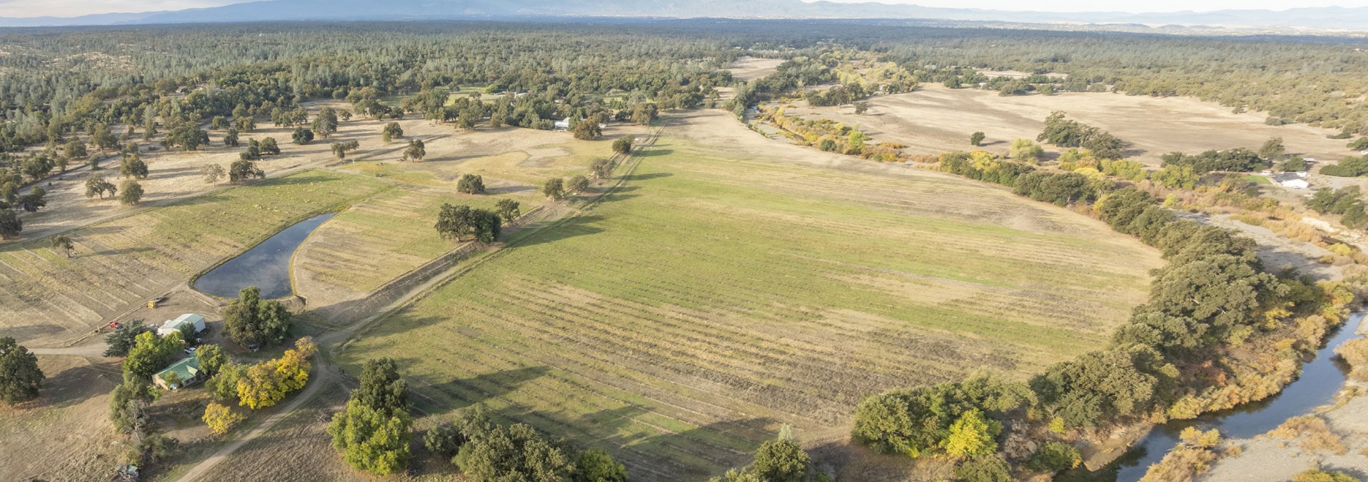 California home for sale with irrigated land california bowman place