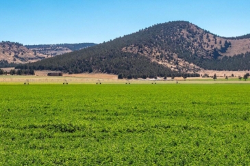 California ranches for sale green valley ranch