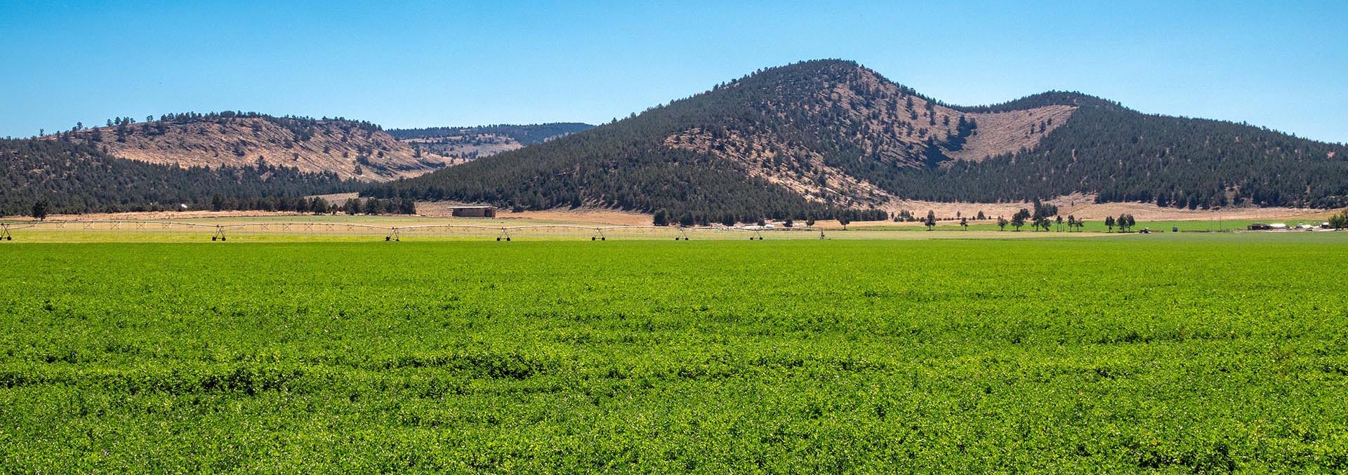 California ranches for sale green valley ranch