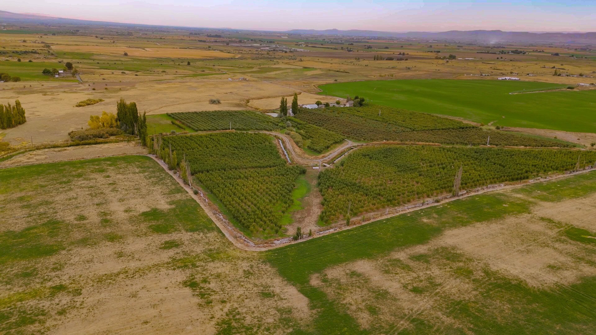 View of Wildwood Farm washington