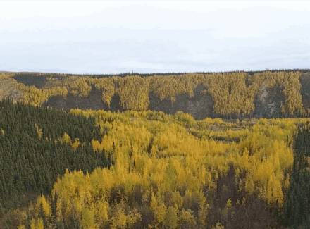 alaska property for sale little boulder creek gold mine