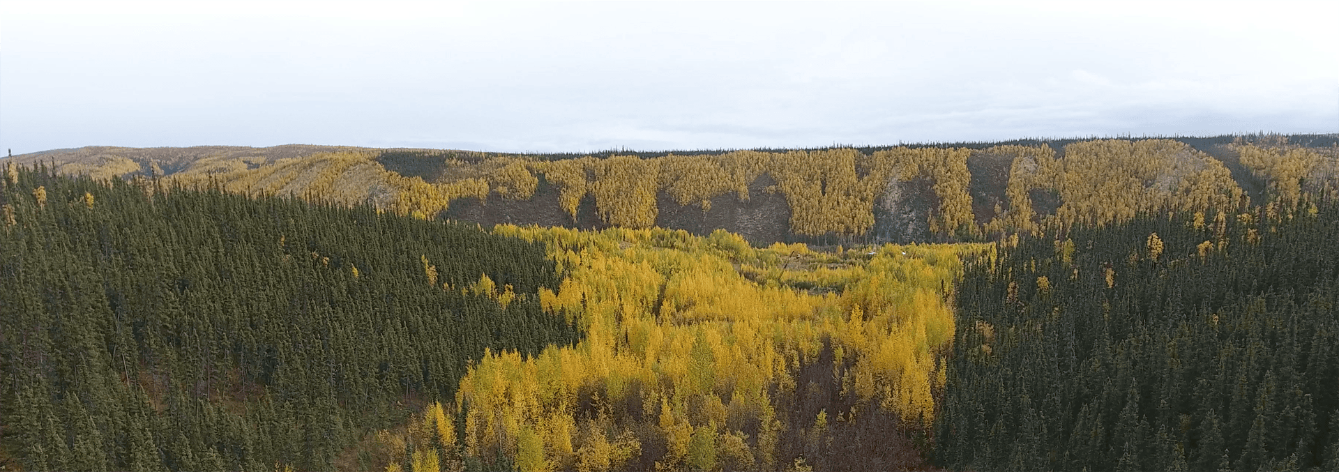 alaska property for sale little boulder creek gold mine