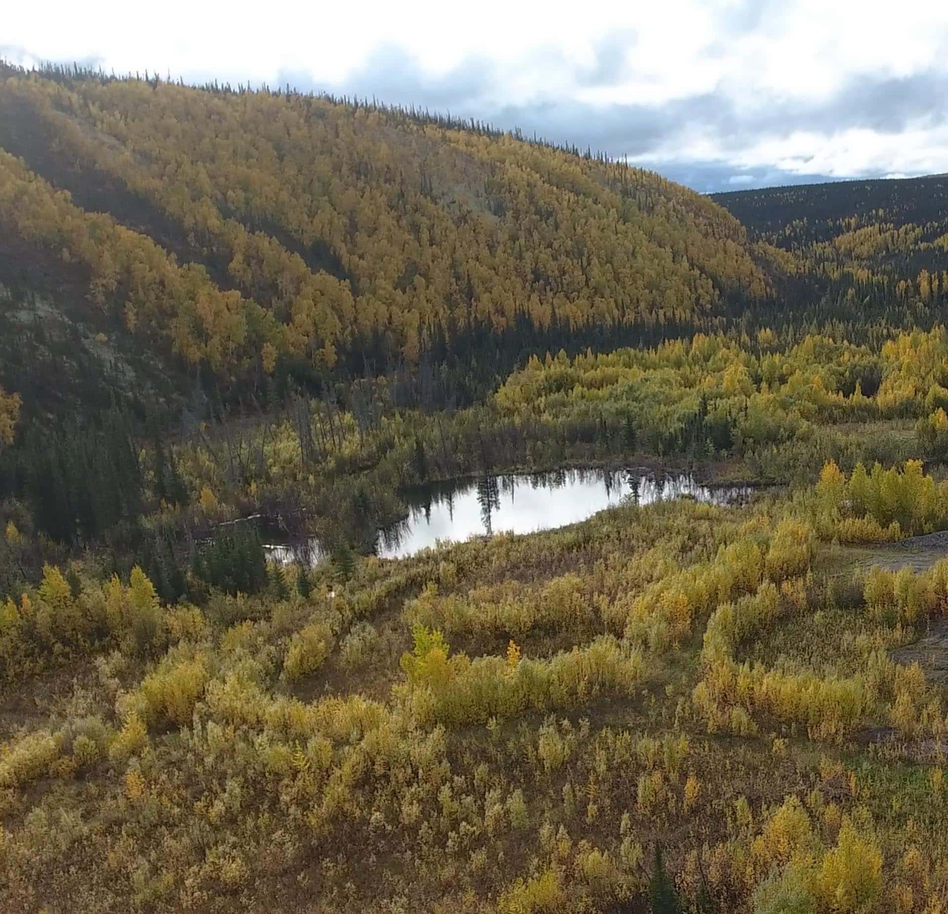 back country alaska little boulder creek gold mine