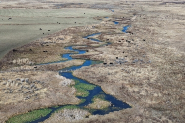 cattle property for sale idaho piva ranch