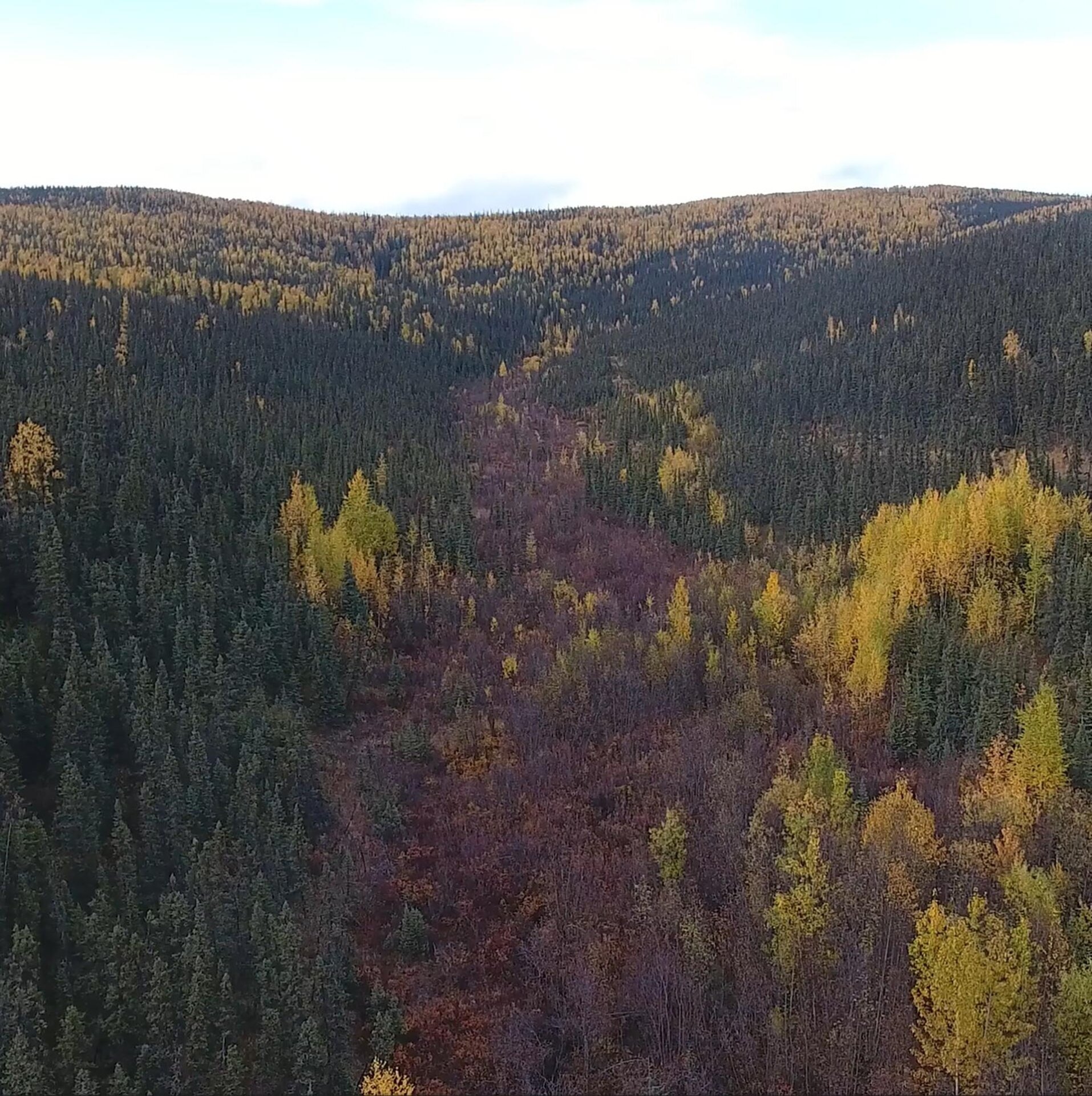 commodities alaska little boulder creek gold mine