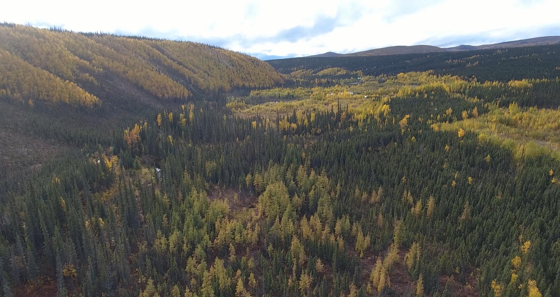 eco tourism alaska little boulder creek gold mine