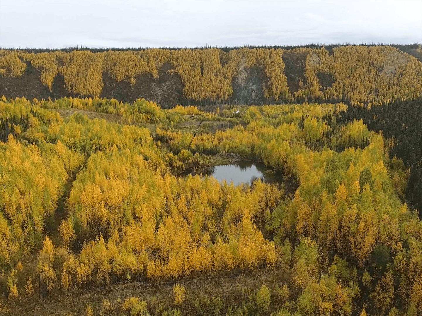 fall colors alaska little boulder creek gold mine