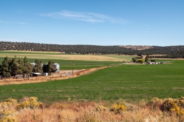 farms for sale california green valley ranch