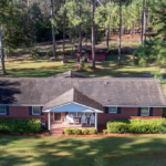 georgia olive grove for sale georgia woodpecker trail olive farm