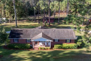 georgia olive grove for sale georgia woodpecker trail olive farm